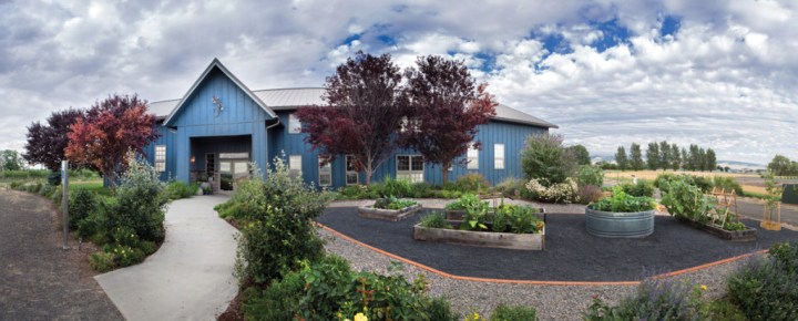 Isenhower-_Cellars_Panorama1-1024x413