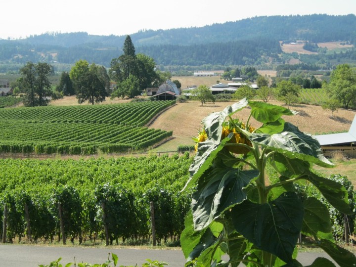 Willamette Valley