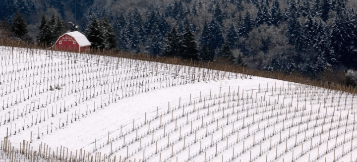 Screen Shot 2014-12-17 at 11.55.42 AM